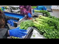 Μηχανή συσκευασίας μαξιλαριών για σνακ μπισκότα Μηχανή συσκευασίας αυτοματοποιημένων ζαχαροπλαστικών