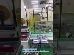 OEM 1200W σύστημα ελέγχου ακτίνων Χ με σύστημα απόρριψης Μηχανή ακτίνων Χ στη βιομηχανία τροφίμων