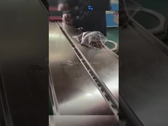 Αυτόματη μηχανή περιτύλιξης οριζόντιας ροής HFF Εμπορική συσκευασία παγωτών WZ-220