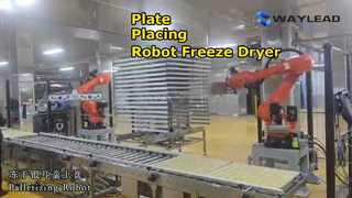 Μηχάνημα συσκευασίας αυτόματης τοποθέτησης πιάτων ρομπότ Freeze dryer