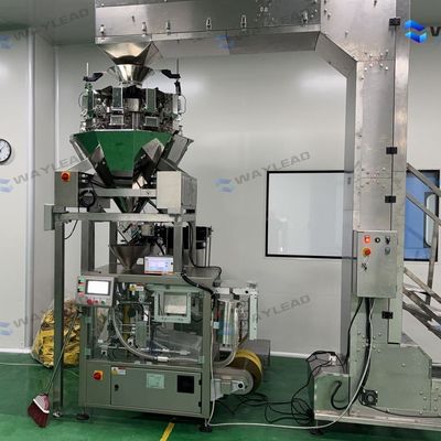 WG210 Αυτοματοποιημένη συσκευαζόμενη μηχανή για διάφορους τύπους σακουλών