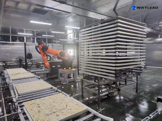 Αυτοματοποιημένο ρομπότ υψηλής απόδοσης για την τοποθέτηση πλάκας προσαρμοσμένο για τις γραμμές παραγωγής στεγνωτήρων κατάψυξης